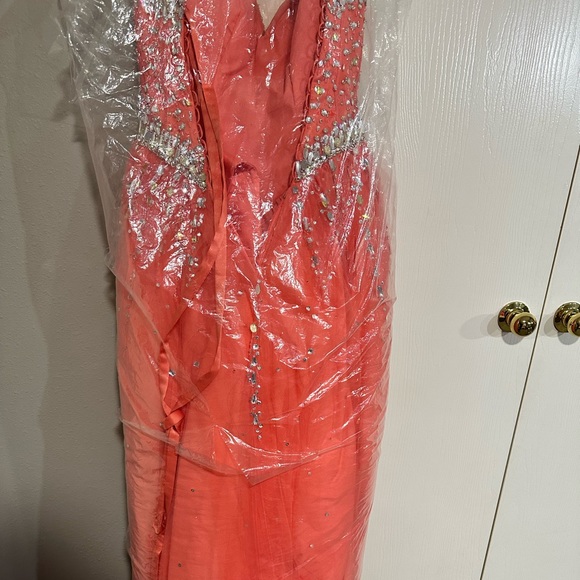 Quinceañera Dress - Picture 3 of 6